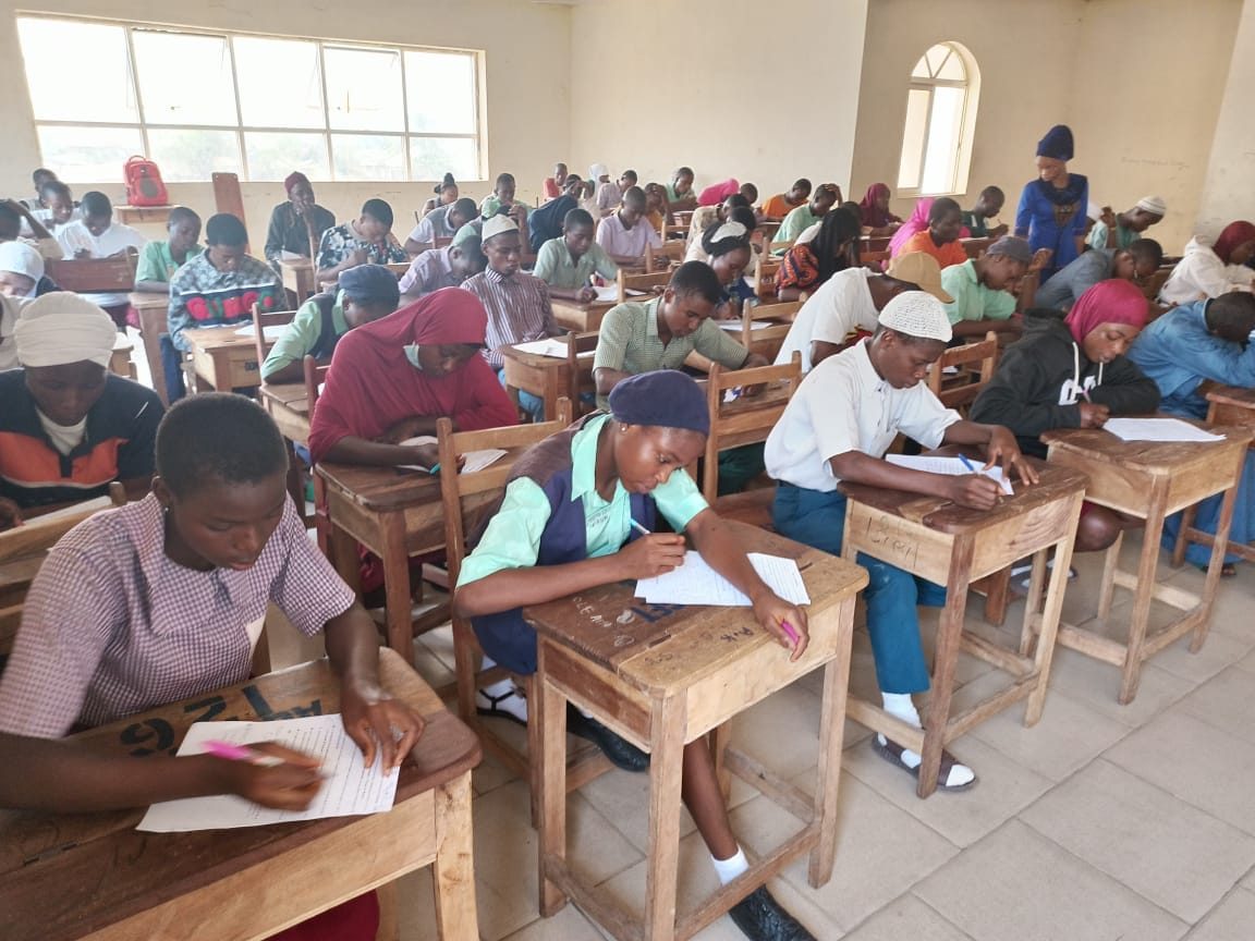 Assessment across the three LGAs